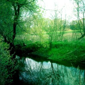 Die Kraft der Natur in Jeersdorf, meiner Wahlheimat